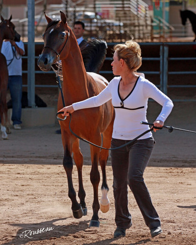 Region 7 Championship Show 2009 - C. Rousseau