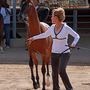 Region 7 Championship Show 2009 - C. Rousseau