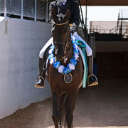Region 7 Championship Show 2009 - C. Rousseau