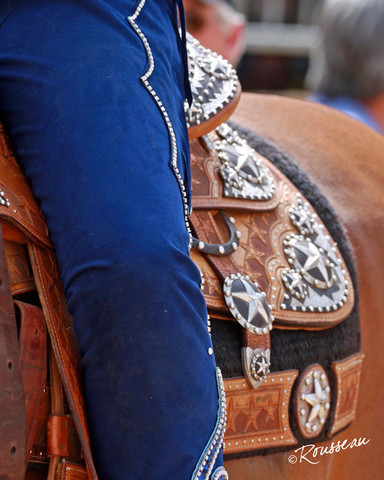 Region 7 Championship Show 2009 - C. Rousseau