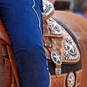 Region 7 Championship Show 2009 - C. Rousseau