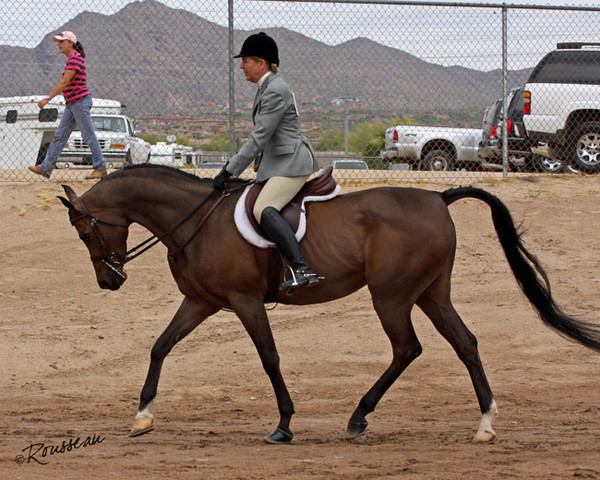 Region 7 Championship Show 2009 - C. Rousseau