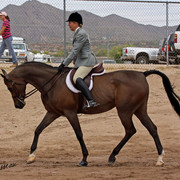 Region 7 Championship Show 2009 - C. Rousseau
