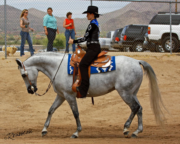 Region 7 Championship Show 2009 - C. Rousseau