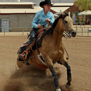 Region 7 Championship Show 2009 - C. Rousseau