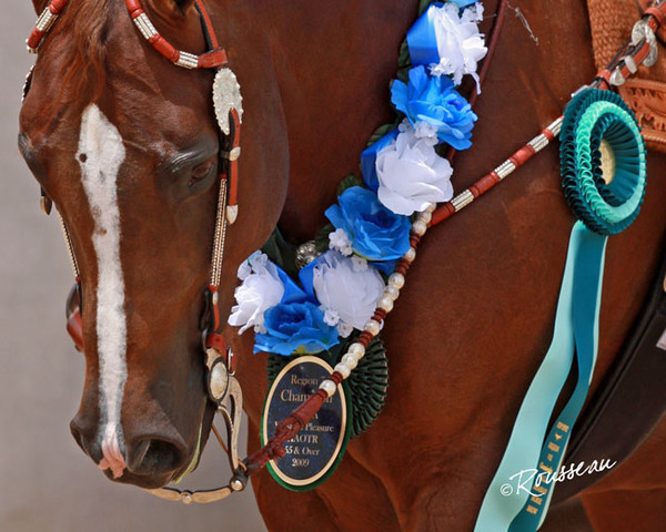 Region 7 Championship Show 2009 - C. Rousseau