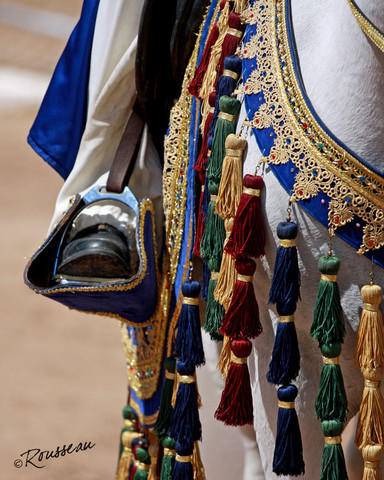 Region 7 Championship Show 2009 - C. Rousseau