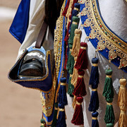 Region 7 Championship Show 2009 - C. Rousseau