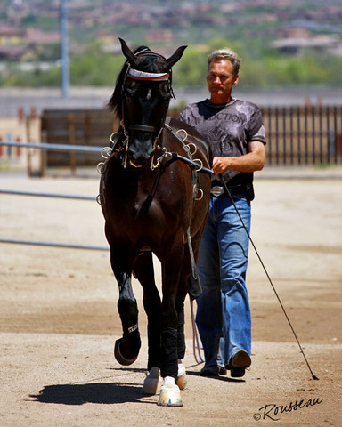 Region 7 Championship Show 2009 - C. Rousseau