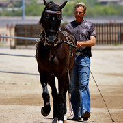 Region 7 Championship Show 2009 - C. Rousseau