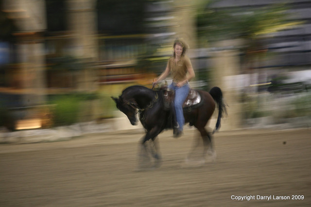 The Egyptian Event 2009 Fun Photos