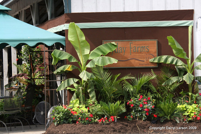 The Egyptian Event 2009 Fun Photos