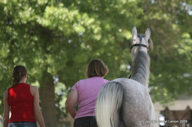 The Egyptian Event 2009 Fun Photos