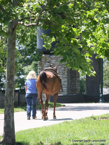The Egyptian Event 2009 Fun Photos