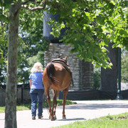 The Egyptian Event 2009 Fun Photos