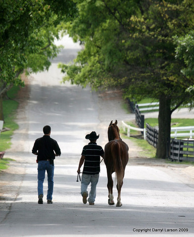 The Egyptian Event 2009 Fun Photos