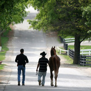The Egyptian Event 2009 Fun Photos