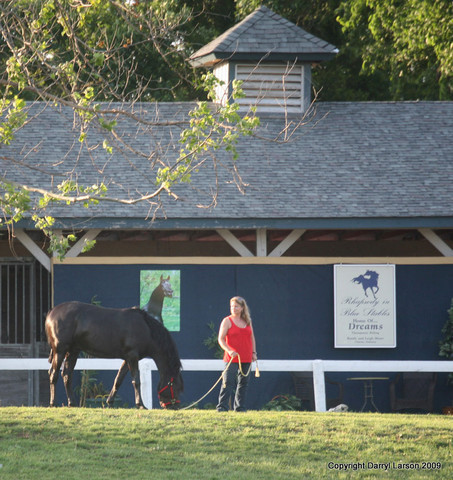 The Egyptian Event 2009 Fun Photos