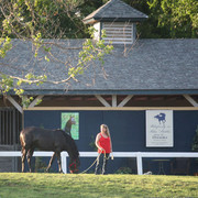 The Egyptian Event 2009 Fun Photos