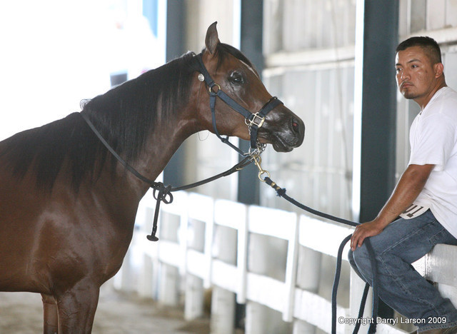 The Egyptian Event 2009 Fun Photos