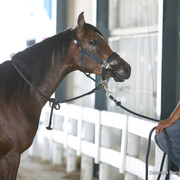 The Egyptian Event 2009 Fun Photos