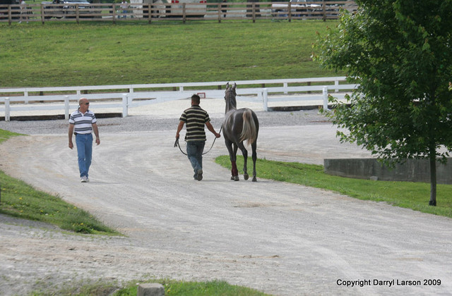 The Egyptian Event 2009 Fun Photos