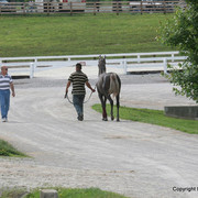 The Egyptian Event 2009 Fun Photos