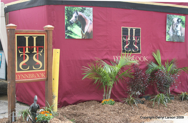 The Egyptian Event 2009 Fun Photos