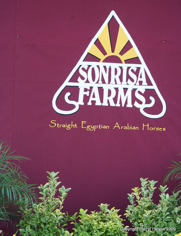 The Egyptian Event 2009 Fun Photos