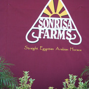 The Egyptian Event 2009 Fun Photos