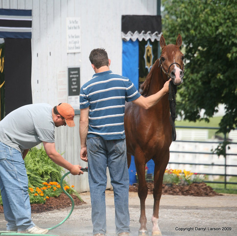 The Egyptian Event 2009 Fun Photos
