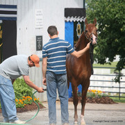 The Egyptian Event 2009 Fun Photos