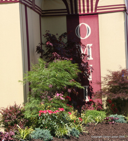 The Egyptian Event 2009 Fun Photos