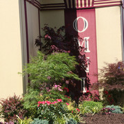 The Egyptian Event 2009 Fun Photos