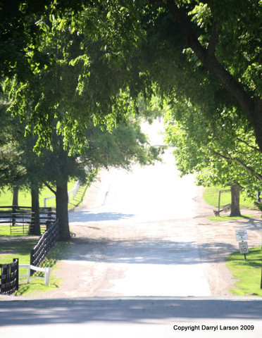 The Egyptian Event 2009 Fun Photos