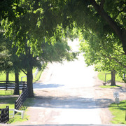 The Egyptian Event 2009 Fun Photos