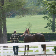 The Egyptian Event 2009 Fun Photos