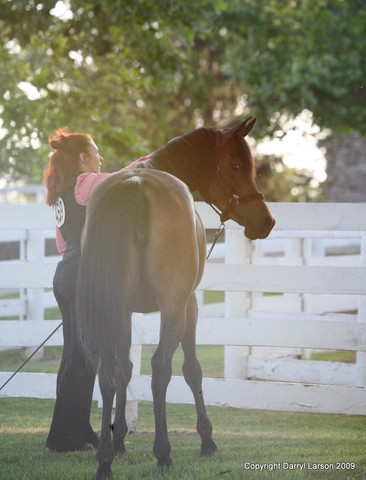 The Egyptian Event 2009 Fun Photos