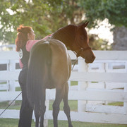 The Egyptian Event 2009 Fun Photos