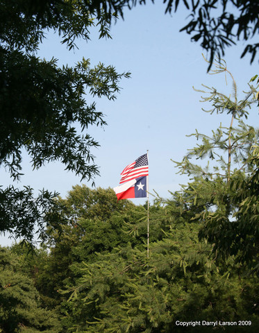 The Egyptian Event 2009 Fun Photos