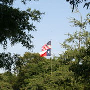 The Egyptian Event 2009 Fun Photos