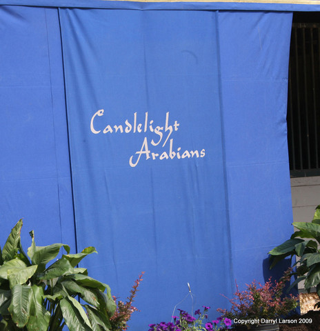 The Egyptian Event 2009 Fun Photos