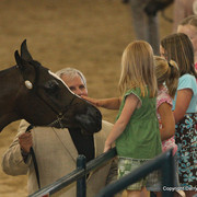 The Egyptian Event 2009 Fun Photos