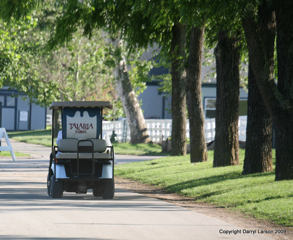 The Egyptian Event 2009 Fun Photos