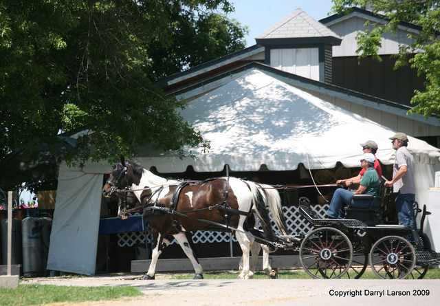 The Egyptian Event 2009 Fun Photos