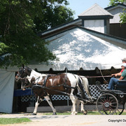The Egyptian Event 2009 Fun Photos