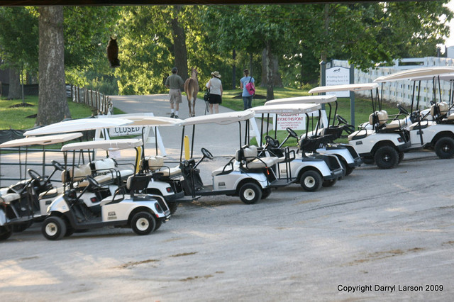 The Egyptian Event 2009 Fun Photos