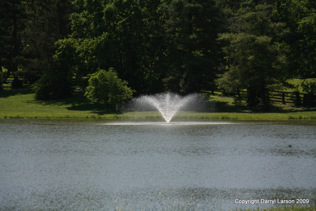 The Egyptian Event 2009 Fun Photos