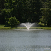 The Egyptian Event 2009 Fun Photos