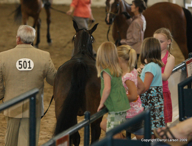 The Egyptian Event 2009 Fun Photos